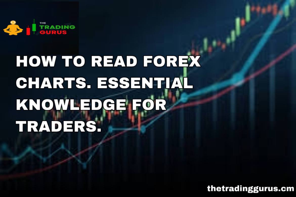 How To Read Forex Charts Traders Knowledge The Trading Gurus